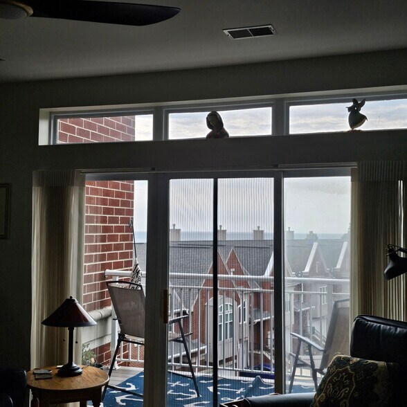 Building Photo - 3872 S Lake Dr