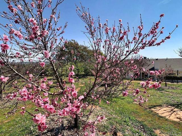 Building Photo - 2090 Quail Meadow Rd