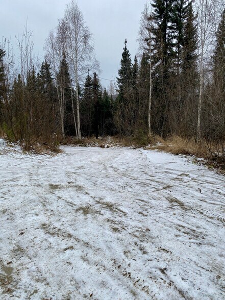 Building Photo - 305 Sarah St