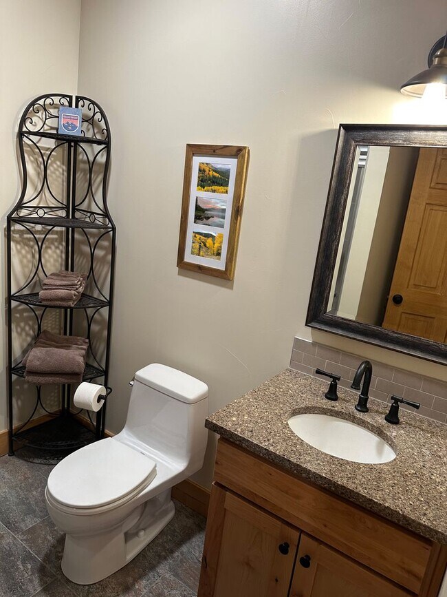 Building Photo - 6 month lease! Fairplay Cabin! 2 beds plus...