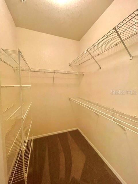 Building Photo - 1341 Arbor Vista Loop