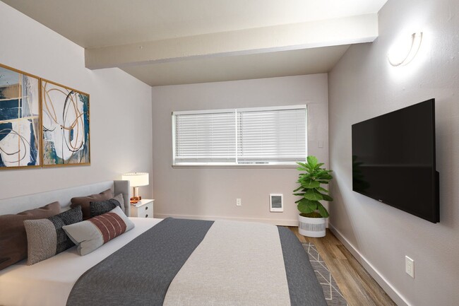 Interior Photo - Hall Street Court