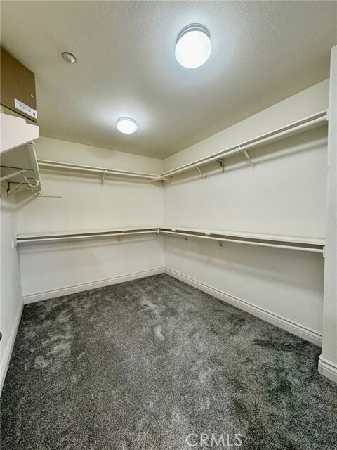 Building Photo - 6927 Tailwind Ln