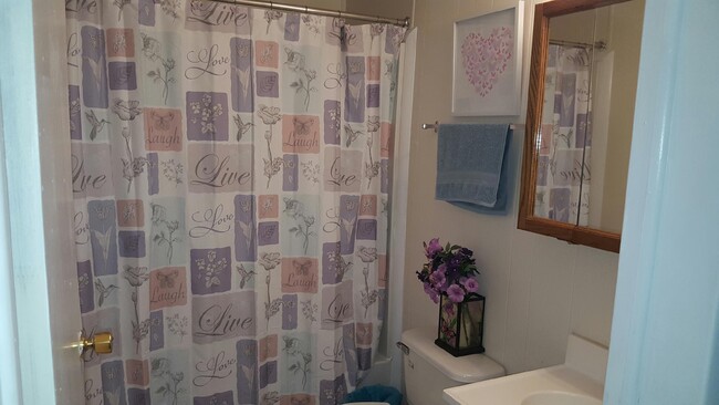 Hall bath can look like this with new curtain - 34 Meadowlark Dr