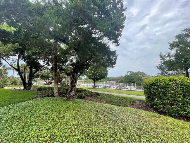 Building Photo - 100 Canopy Walk Ln