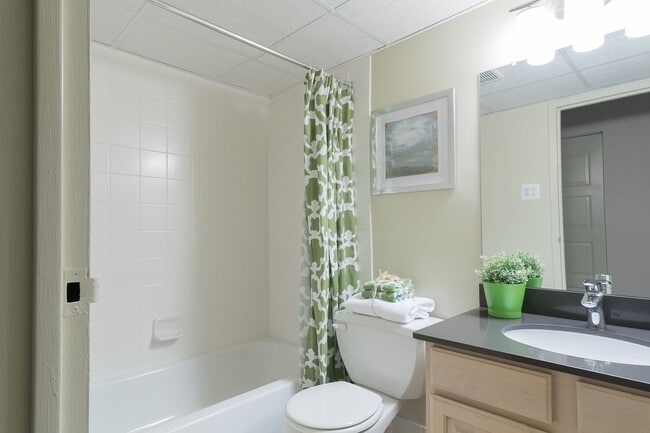 Interior Photo - La Maison Apartments