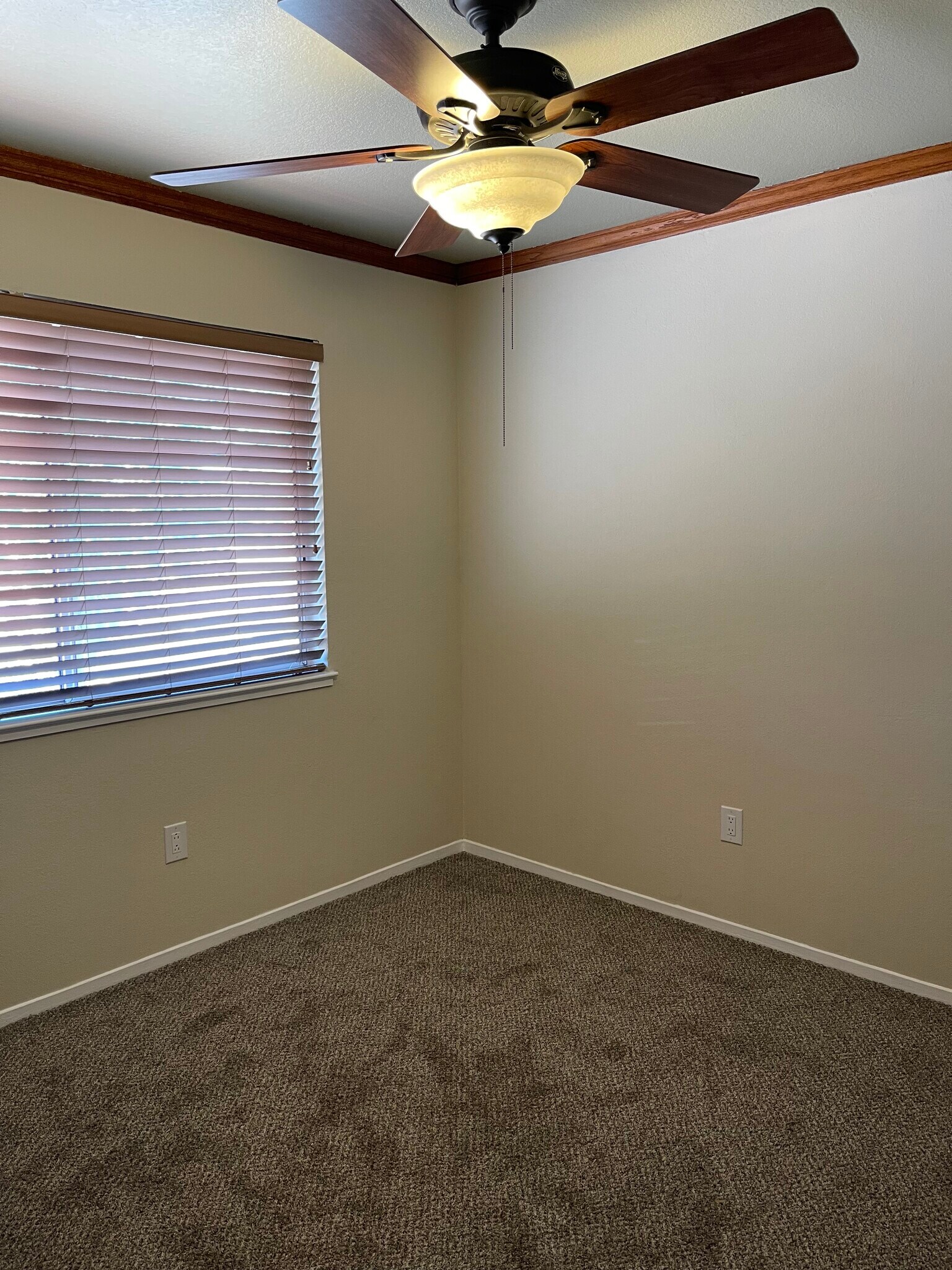 Building Photo - 423 Kinsmill Ct