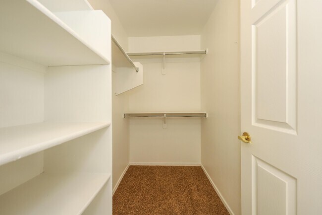 Building Photo - 8187 S Camino SERPE