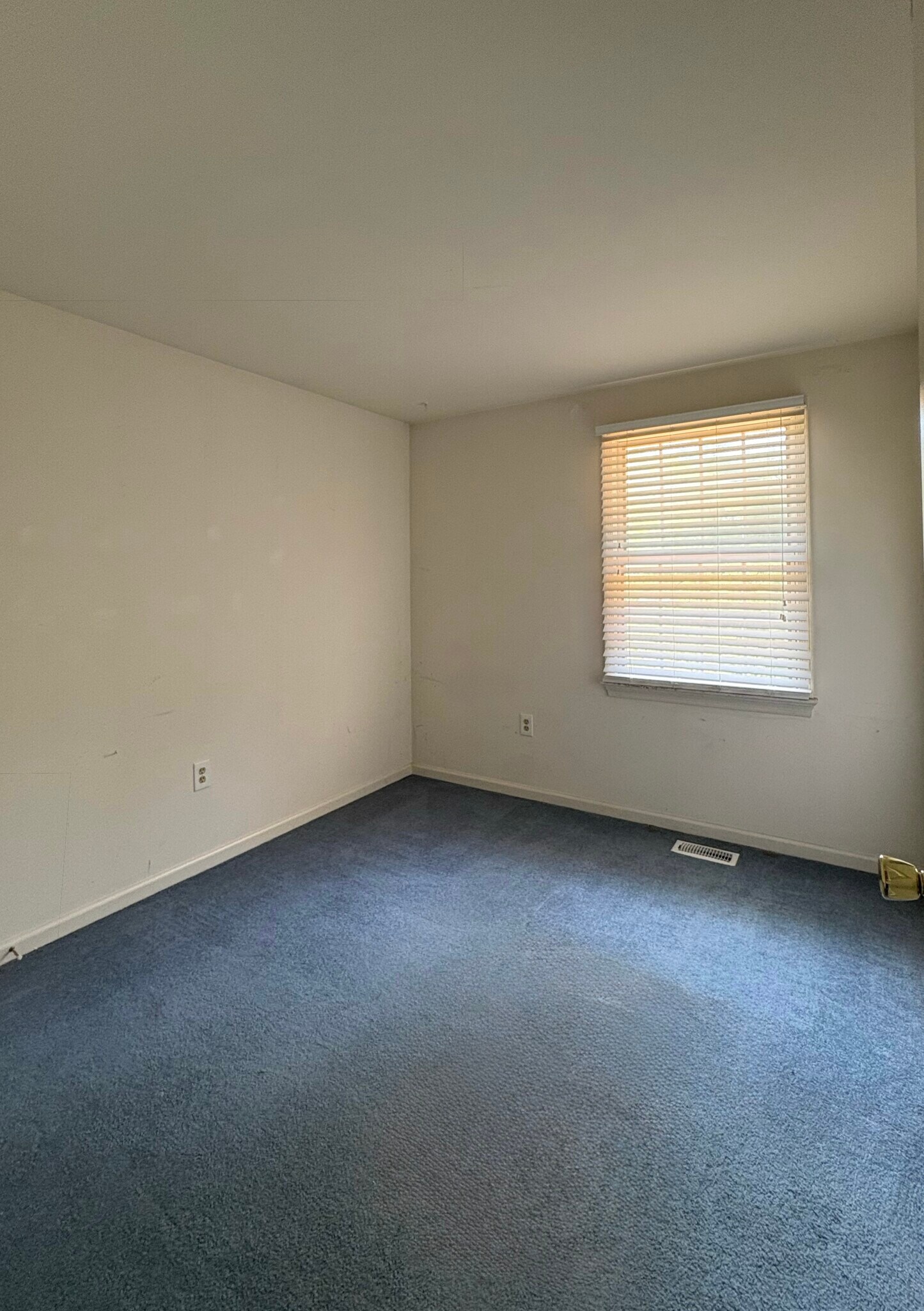 Building Photo - 8002 Cattail Ct