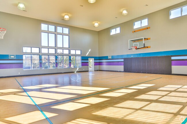 arwen vista charlotte nc apartment finder