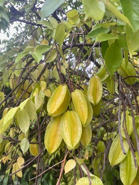 Building Photo - 6752 Oak Ave