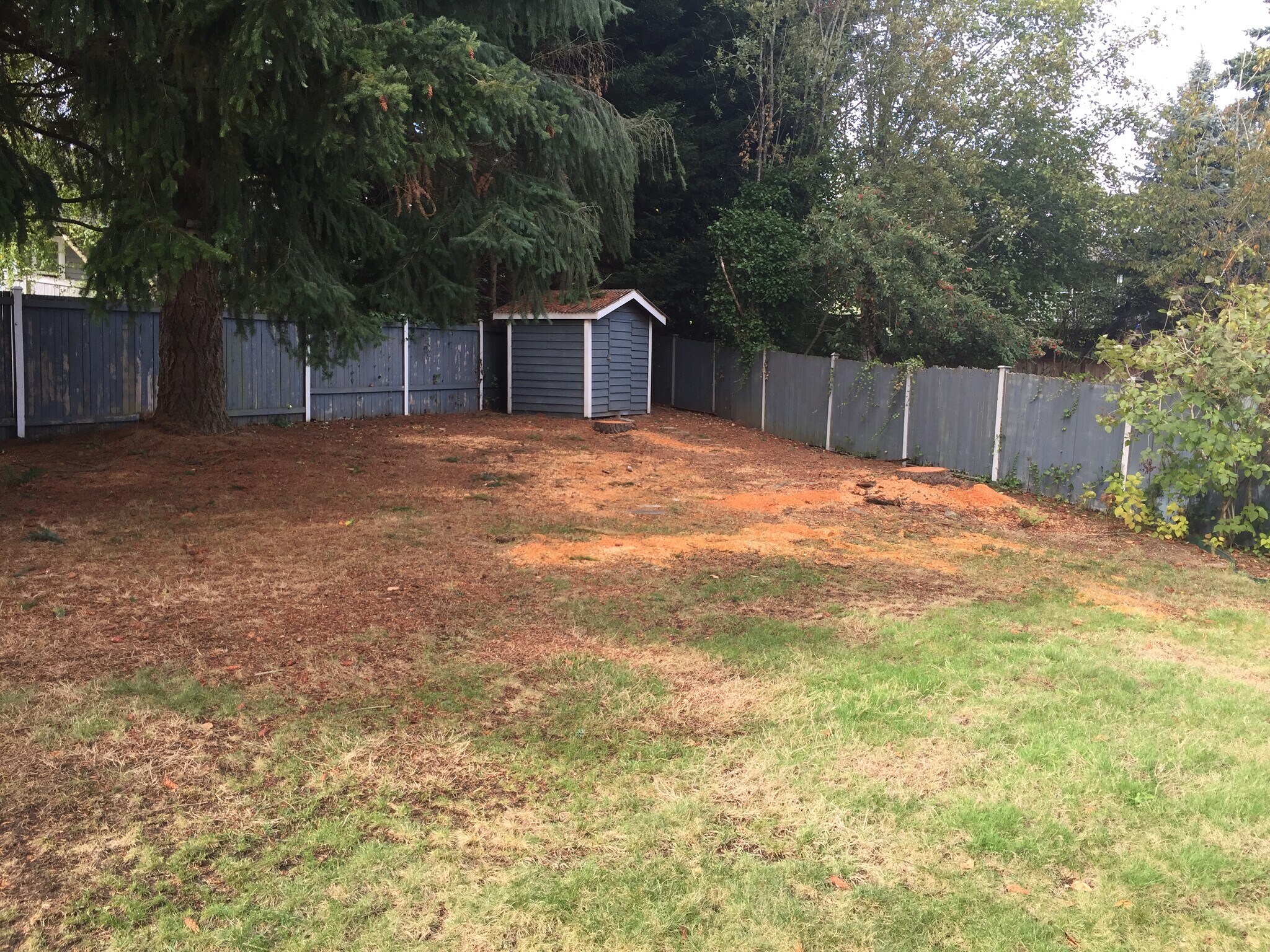 Back Yard - 12707 87th Ct NE
