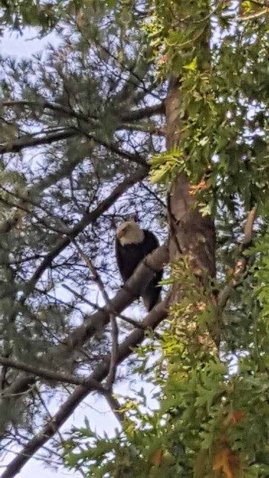 Building Photo - 43 Ocean Dr