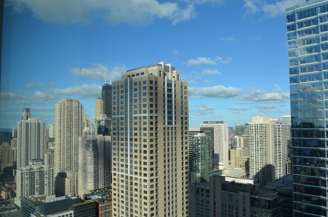 Building Photo - 345 N LaSalle St