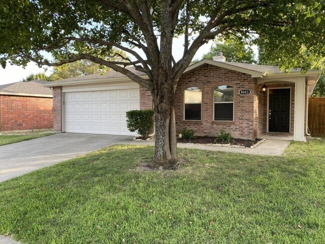 Primary Photo - 4603 Courtside Dr