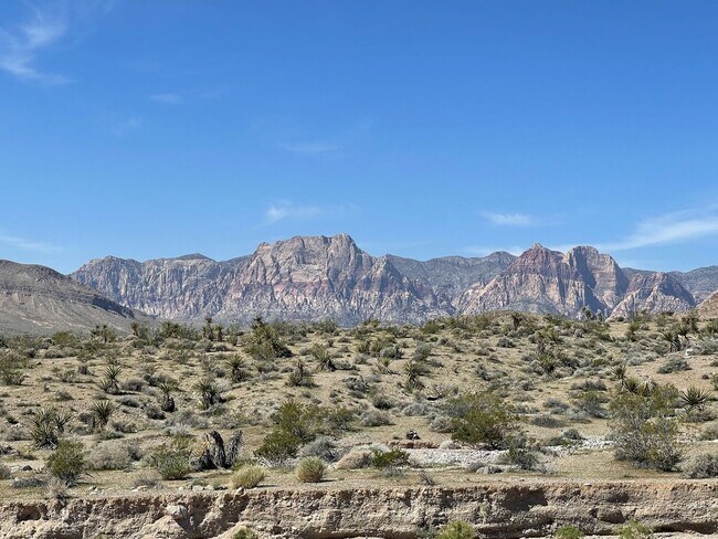 Building Photo - Single story in the exclusive master planned community of Heritage in Stonebridge!