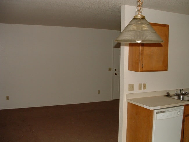 Kitchen -2 - Lone Tree Apartments