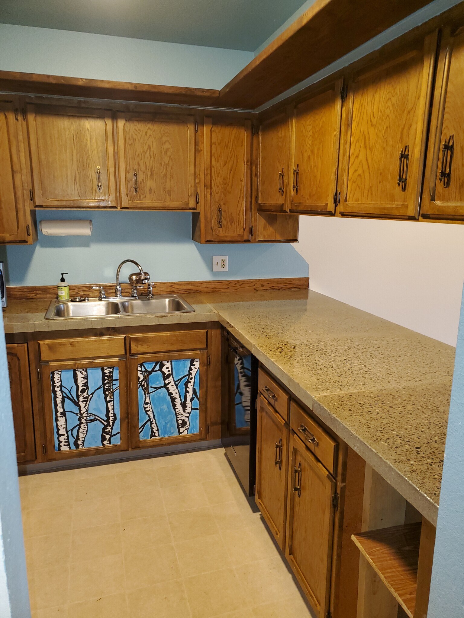 Under counter dishwasher. - 3100 Ward Plz