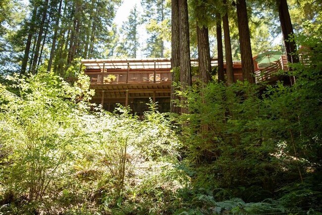 Building Photo - Sunlit Sanctuary in the Redwoods
