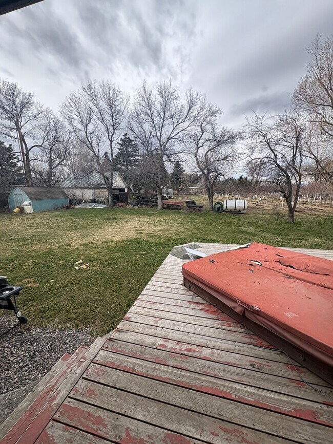 Building Photo - 3 Bed 2 Bath Single Family Home with Additional Space in Basement!