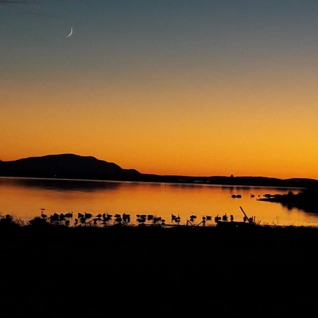 Sunset Backyard - 4443 Decatur Dr