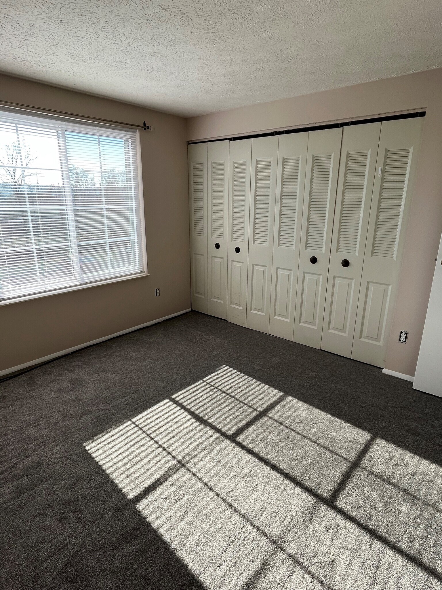 Building Photo - 1620 Jefferson Ridge Dr