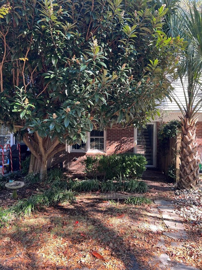 Building Photo - 1661 Forest Dr