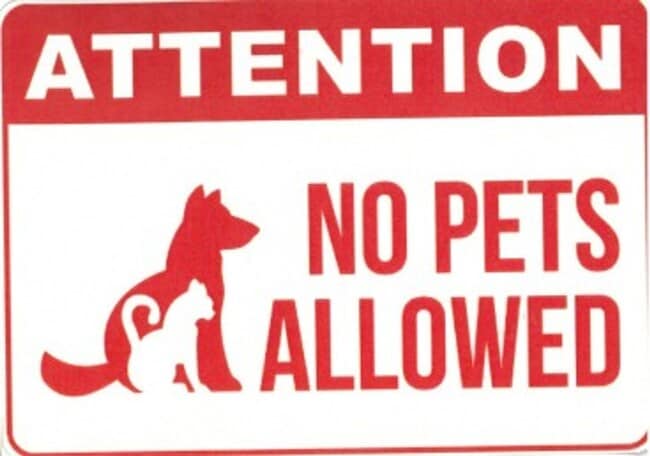 Building Photo - Remodeled 3 Bedroom home