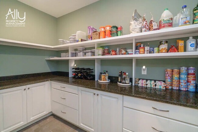 Building Photo - 2743 Proffit Crossing Ln