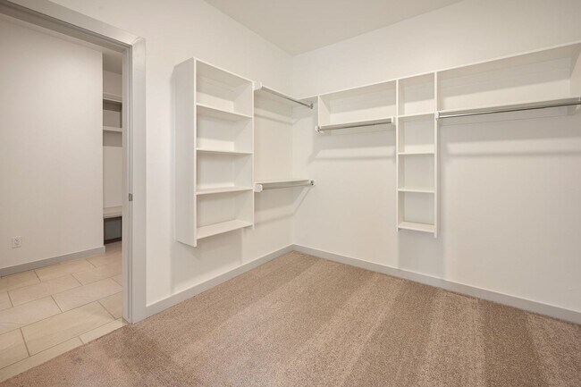 Building Photo - 4909 Misty Wood Ln