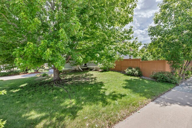 Building Photo - Spacious Home in Castle Rock