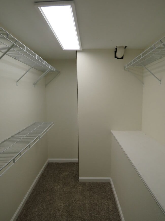 Building Photo - 5 Bedroom, 3 Bathroom House Near Pioneer P...