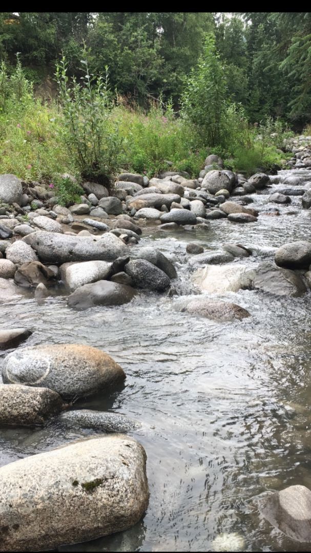 Building Photo - 9670 N Palmer Fishhook Rd