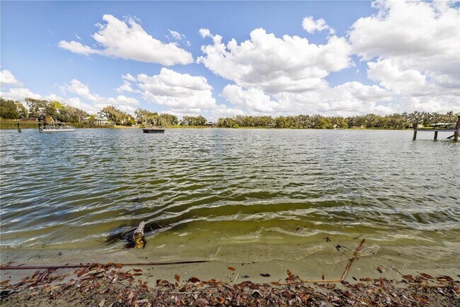 Building Photo - 4019 Moores Lake Rd