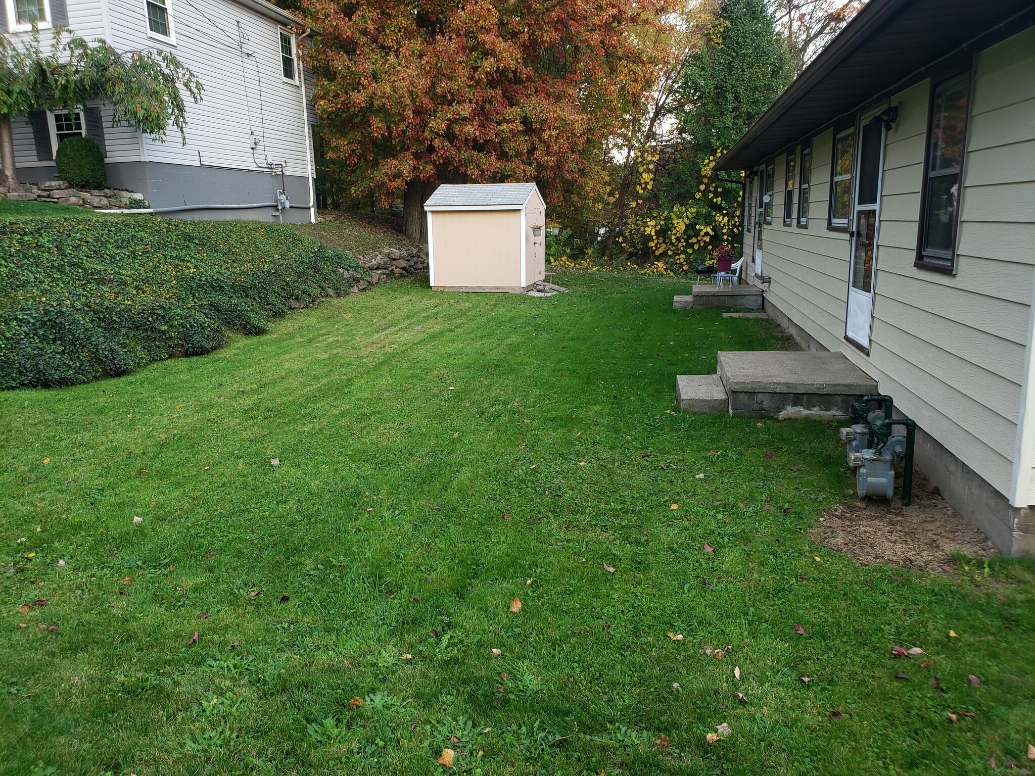 Backyard - 1221 Derbydale Rd
