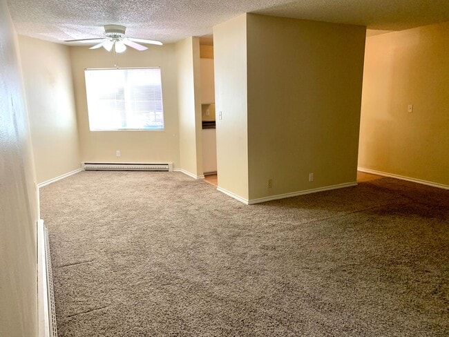 Building Photo - Capitol Hill Condo