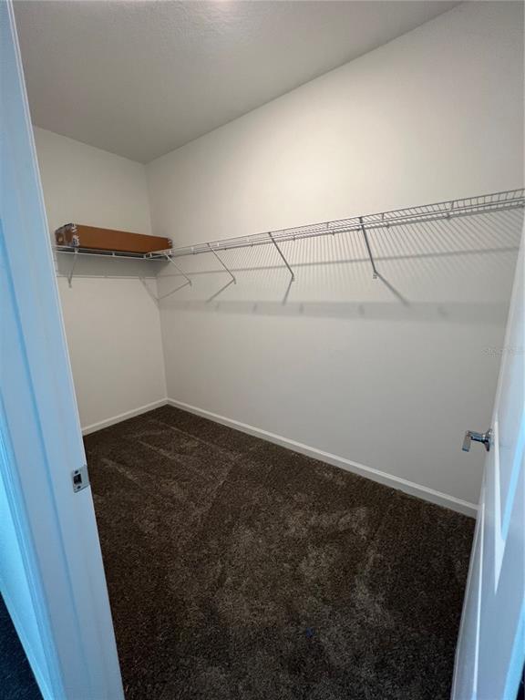 Building Photo - 1446 Waverunner Ln