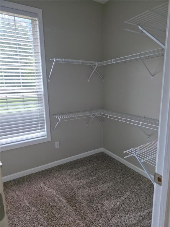 Building Photo - 2257 Roseberry Ln