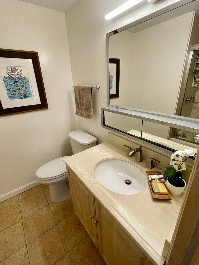 Master bath - 1521 Alexander St