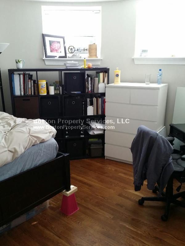 Building Photo - 497 Commonwealth Ave