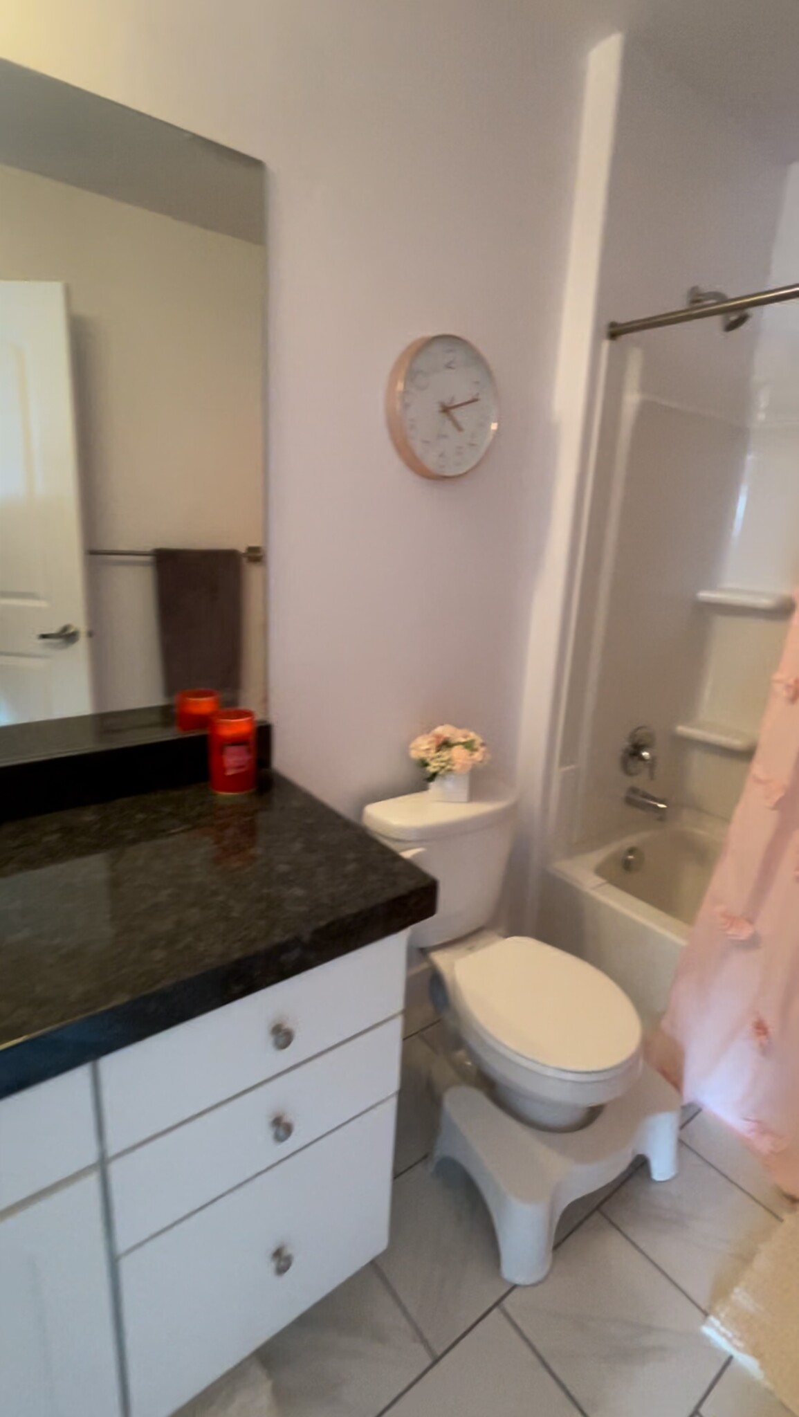 2nd Bathroom - 1816 W Dalmeny Way