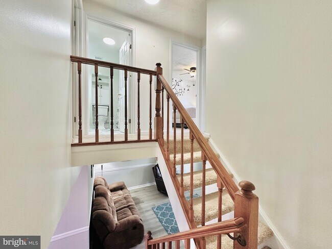 Building Photo - 51 Chins Ct