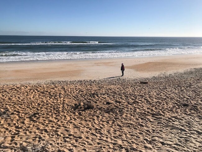 Building Photo - Living the Life!