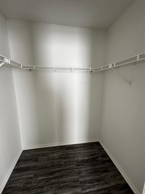 Building Photo - 523 Cutty Trail