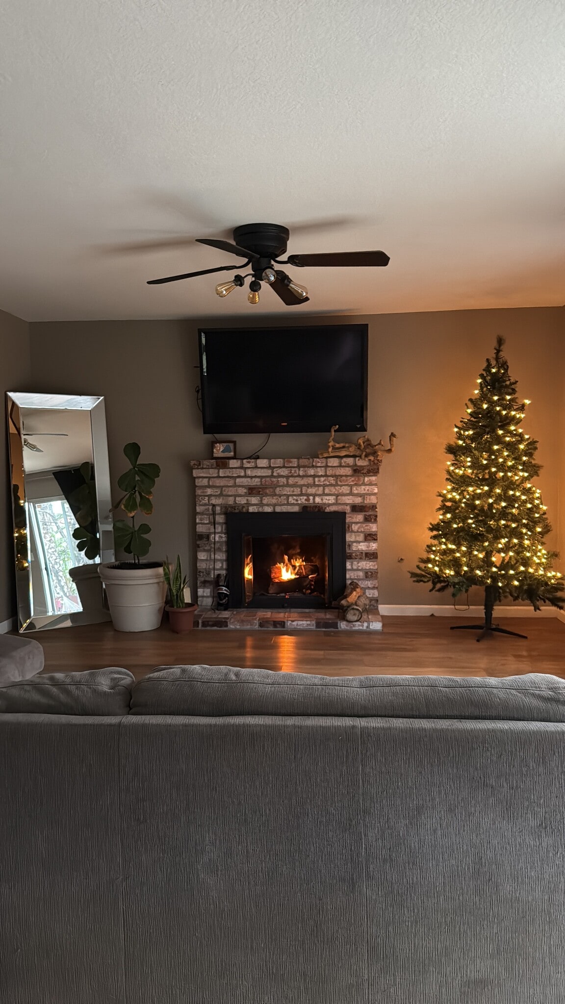 Building Photo - 1006 Acaciawood Ct