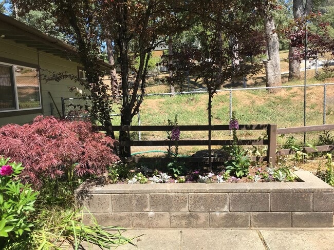 Building Photo - Completely Renovated in 2012; adorable energy-efficient Country home w/ Guest House on 1 mostly l...