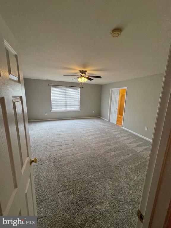Building Photo - 3877 Shiner Ct
