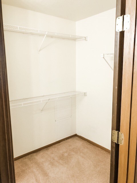 Building Photo - 2136 Stirrup Ln