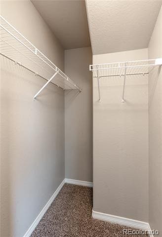 Building Photo - 10811 Witcher Dr