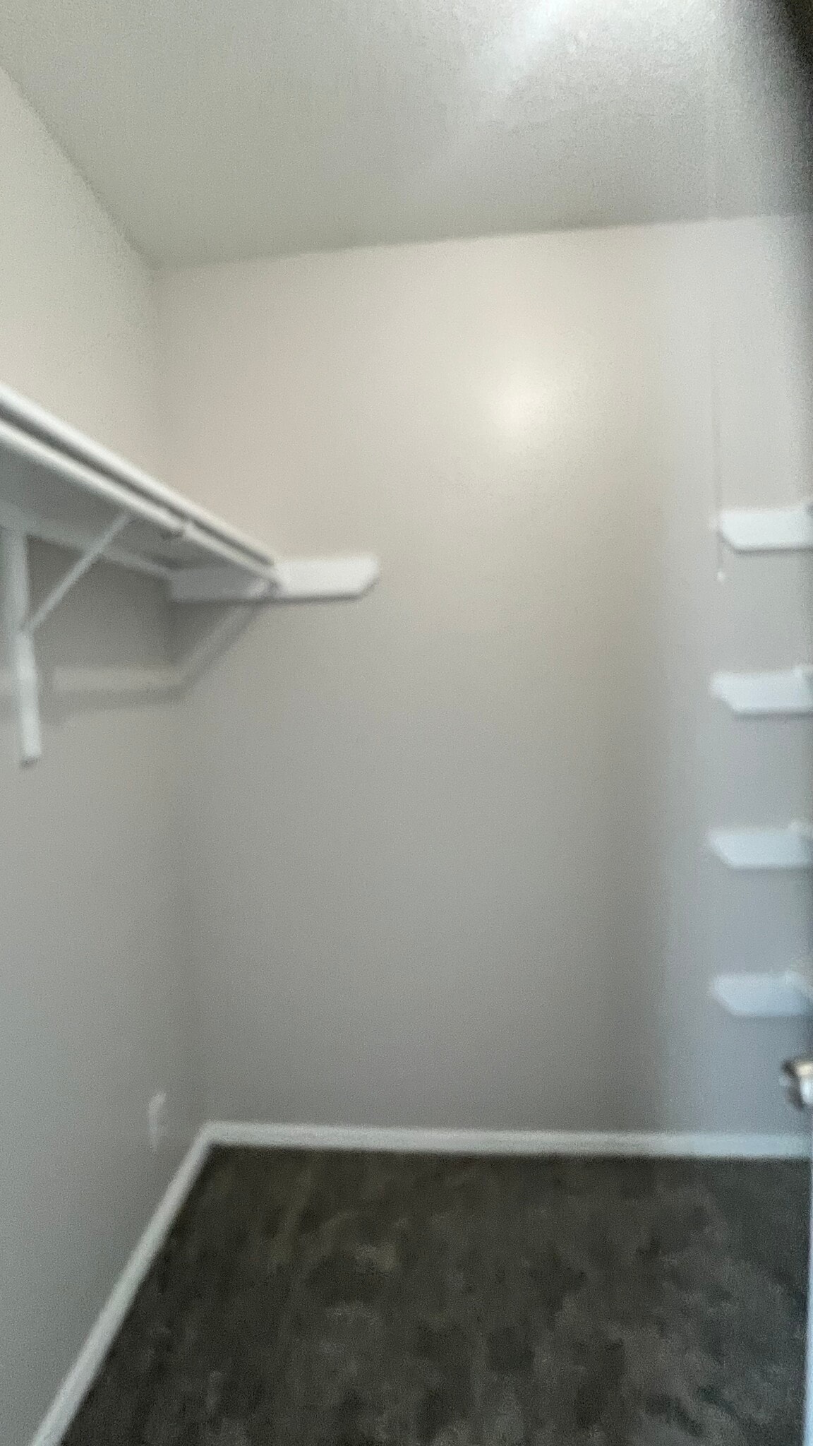 Building Photo - 715 Saratoga Dr